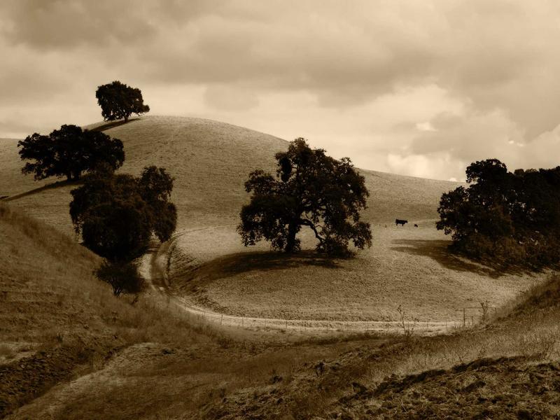 sudoku elo rating screenshot 4