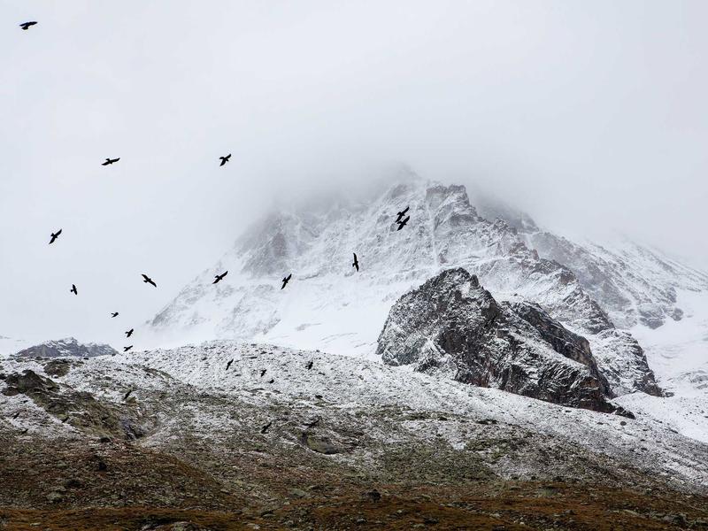 sudoku elo rating screenshot 6